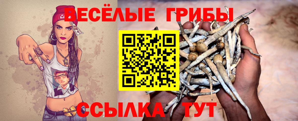 Галлюциногенные грибы ЛСД  Галлюциногенные грибы MAGIC MUSHROOMS  Солнечногорск  Вход с VPN 